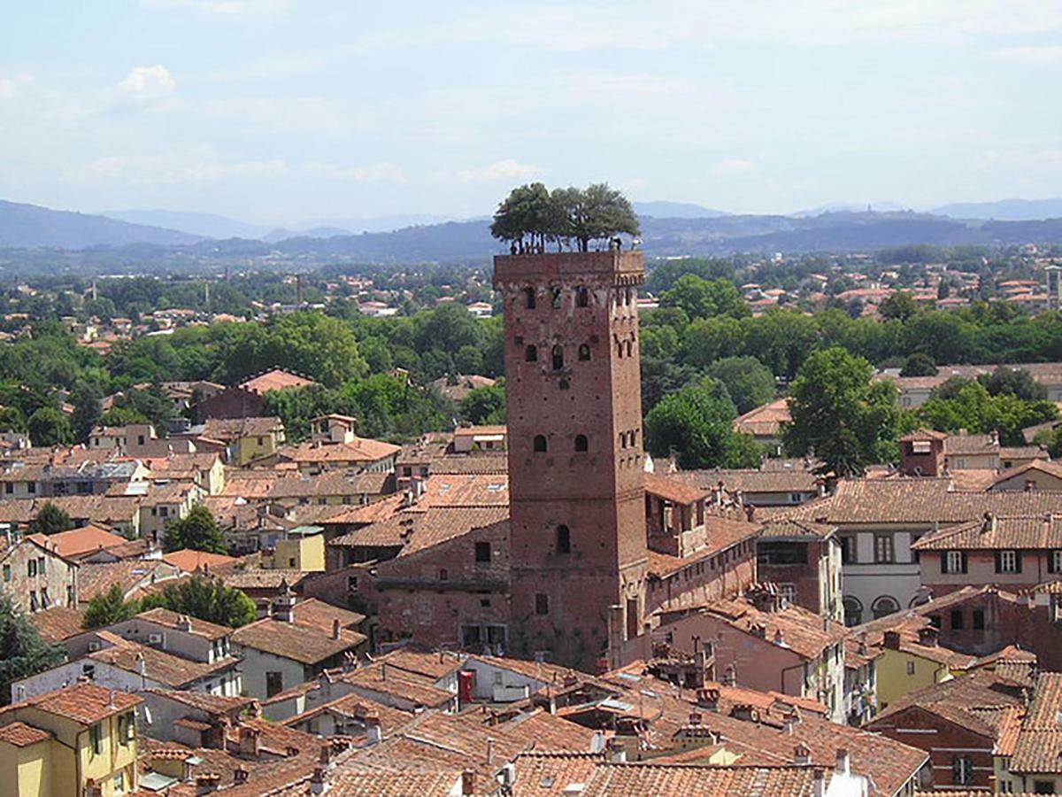 Casa Dei Marmi - In Toscana 10 Min Dal Mare Massa (Tuscany)